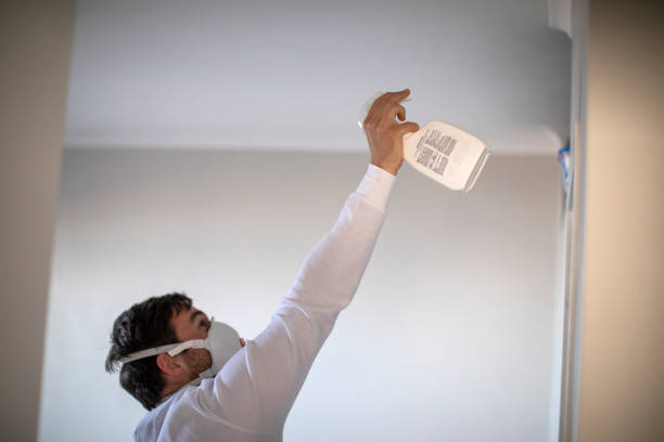 Best Attic Mold Removal  in Dundee, OR