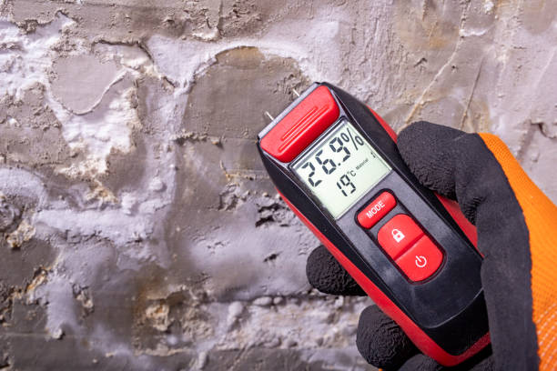 Best Commercial Mold Removal  in Dundee, OR